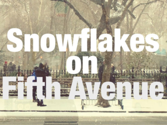 Snowflakes on Fifth Avenue